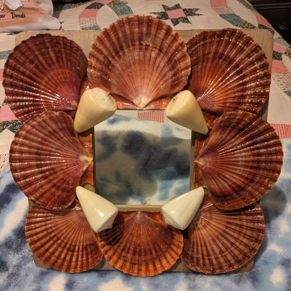 Shell encrusted picture frame - Picture 1 of 4